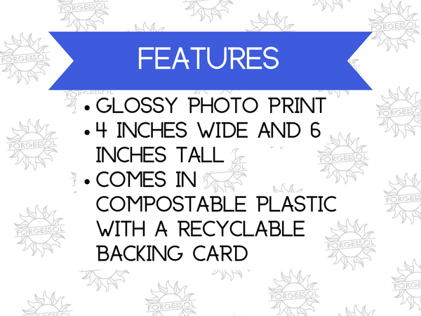 My Favourite Colour is Morally Grey Print | Glossy 4x6 Photo Paper Print - Forge de Sol - Print - Print - 
